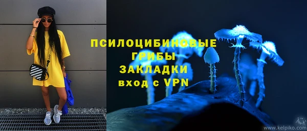 таблы Бородино