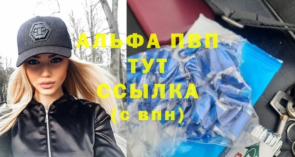 таблы Бородино