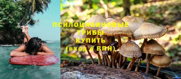 эйфоретик Бугульма