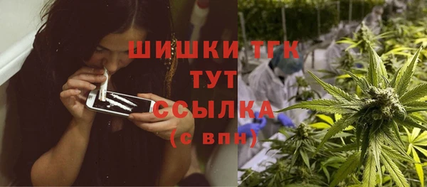 таблы Бородино